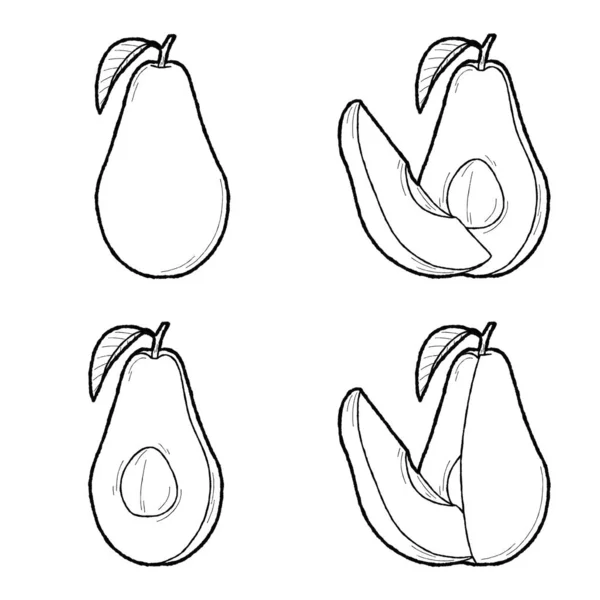 아보카도 일러스트 — 스톡 벡터