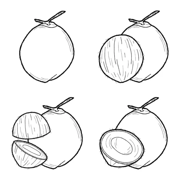Coconut Vector Ilustracja Ręcznie Rysowane Owoce Cartoon Art — Wektor stockowy