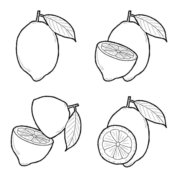 Citron Lemon Vector Ilustração Mão Fruta Desenhada Desenhos Animados Arte — Vetor de Stock