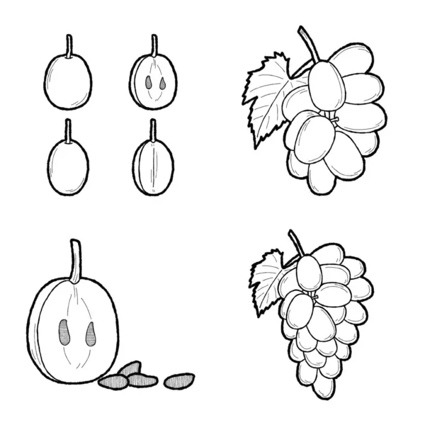 Winogron Wektor Ilustracja Ręcznie Rysowane Owoce Cartoon Art — Wektor stockowy