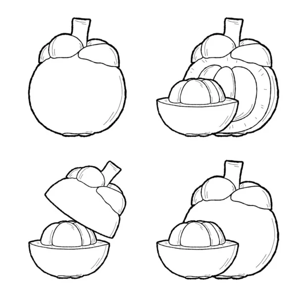 Mangostan Vector Ilustracja Ręcznie Rysowane Owoce Cartoon Art — Wektor stockowy