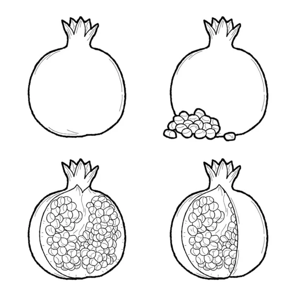 Romã Vetor Ilustração Mão Desenhado Fruta Desenhos Animados — Vetor de Stock