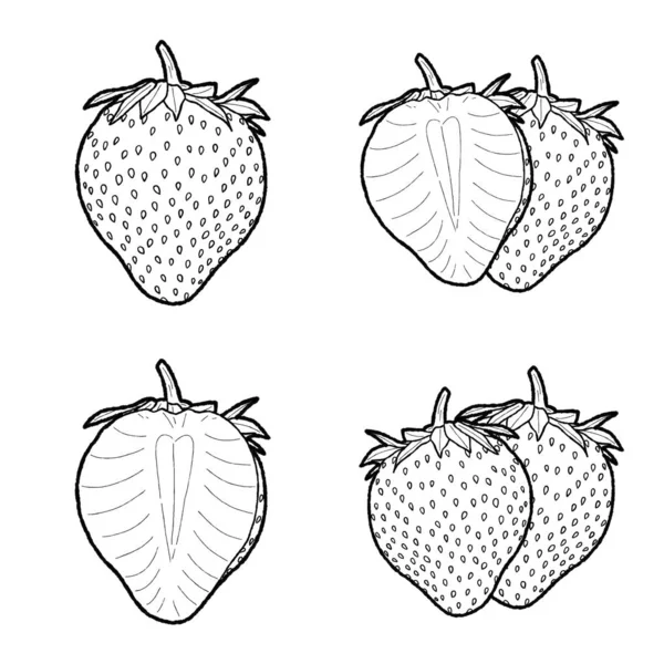 Illustration Vectorielle Fraises Dessin Main Dessin Animé Fruits — Image vectorielle