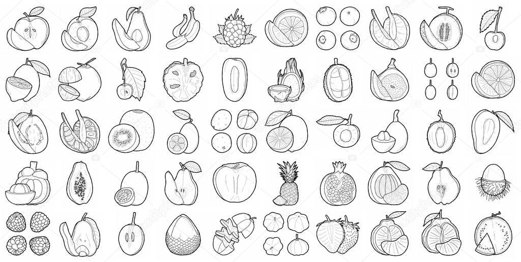 Set Of Fruit Vector Illustration Hand Drawn Cartoon Art
