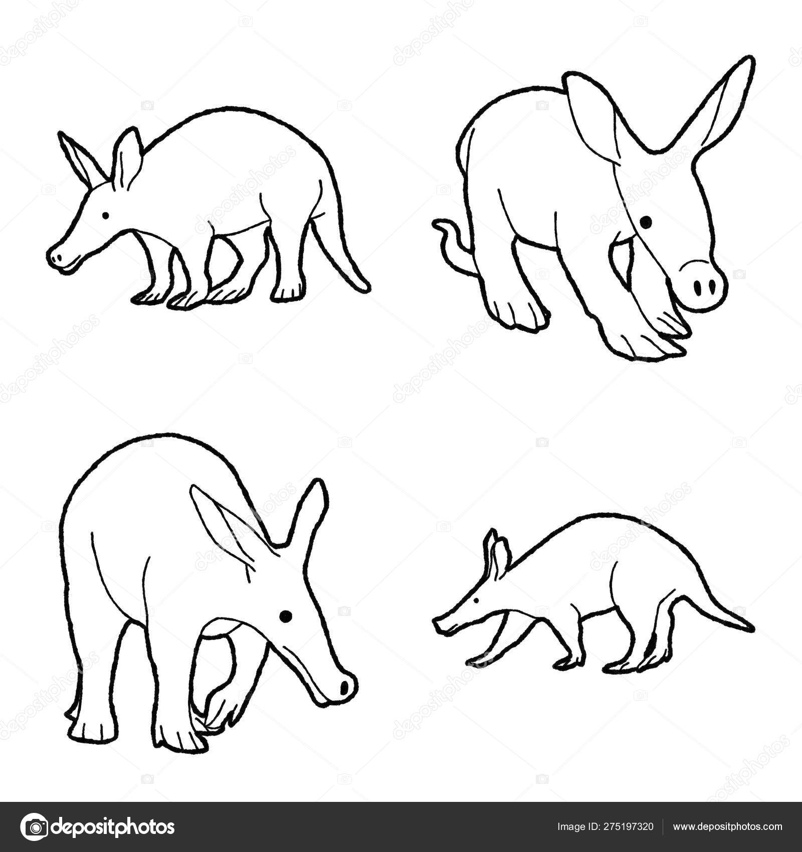 Aardvark cartoon Vector Art Stock Images | Depositphotos Aardvark cartoon Vector Art Stock Images | Depositphotos