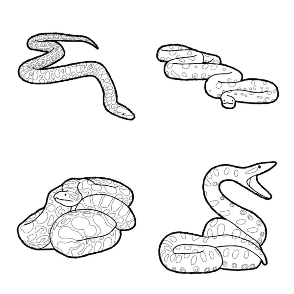 Illustration Vectorielle Anaconda Dessinée Main Art Bande Dessinée Animale — Image vectorielle