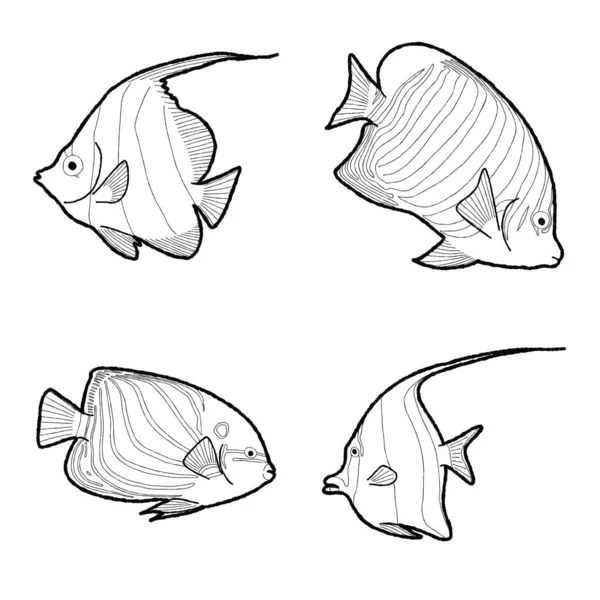 天使鱼矢量插图 手绘动物卡通艺术 — 图库矢量图片