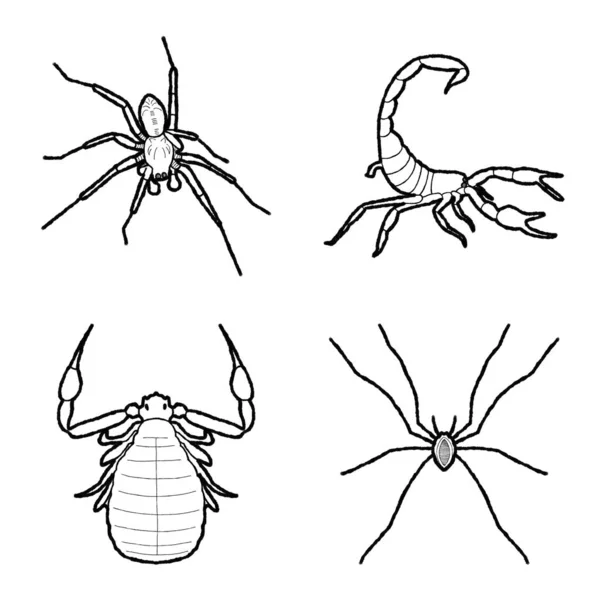 Arachnid Dierlijke Vector Illustratie Hand Getekende Cartoon Kunst — Stockvector