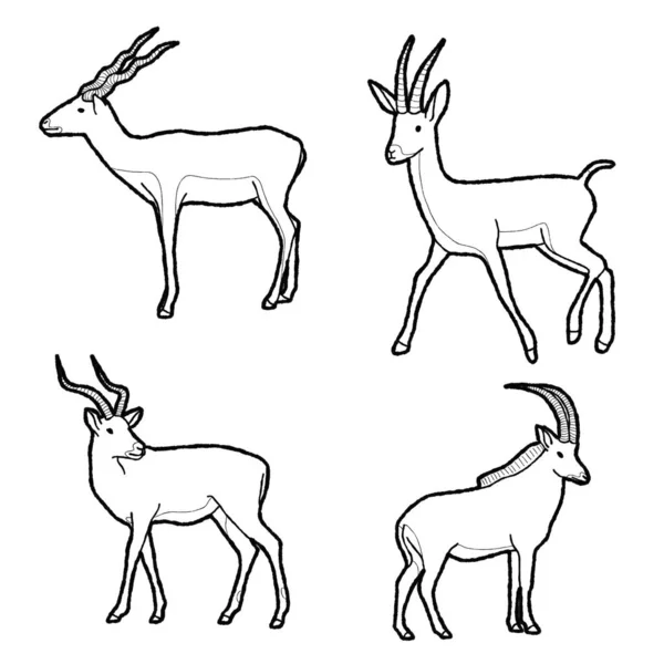 Illustration Vectorielle Animalière Antilope Dessinée Main Dessin Animé Art — Image vectorielle