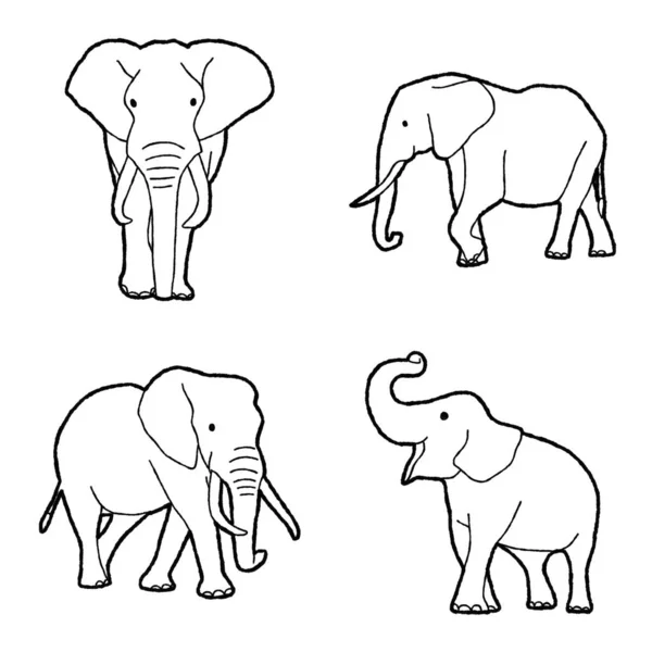 Elephant Vector Illusztráció Kézzel Rajzolt Állat Cartoon Art — Stock Vector