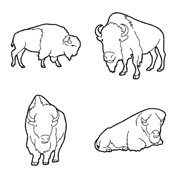 American Bison Vector Ilustración Dibujado Mano Animal Cartoon Art — Archivo Imágenes Vectoriales