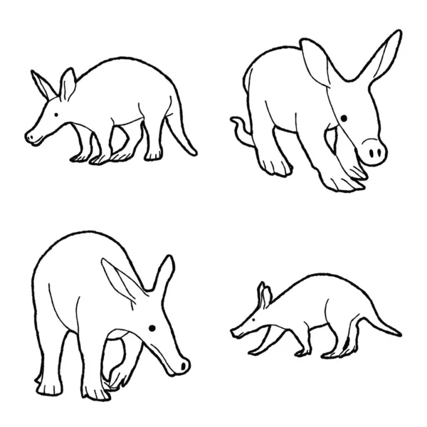 Aardvark Vector Ilustración Dibujado Mano Animal Cartoon Art — Archivo Imágenes Vectoriales