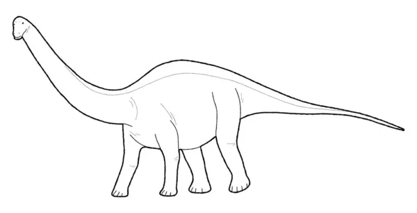 Apatosaurus Illustration Vectorielle Animale Dessin Main Dessin Animé Art — Image vectorielle