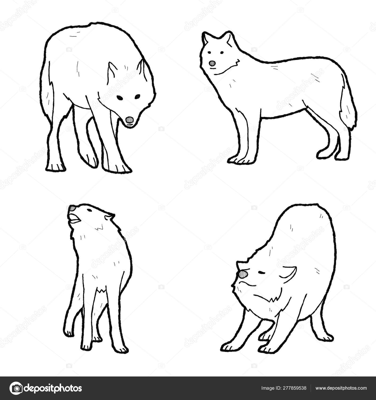 Arctic Wolf Animal Vector Illustration Hand Drawn Cartoon Art Stock Vector  Image by ©.com #277859538