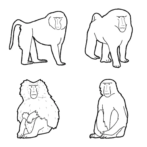 Baboon Animal Vector Ilustración Dibujado Mano Caricatura Arte — Archivo Imágenes Vectoriales