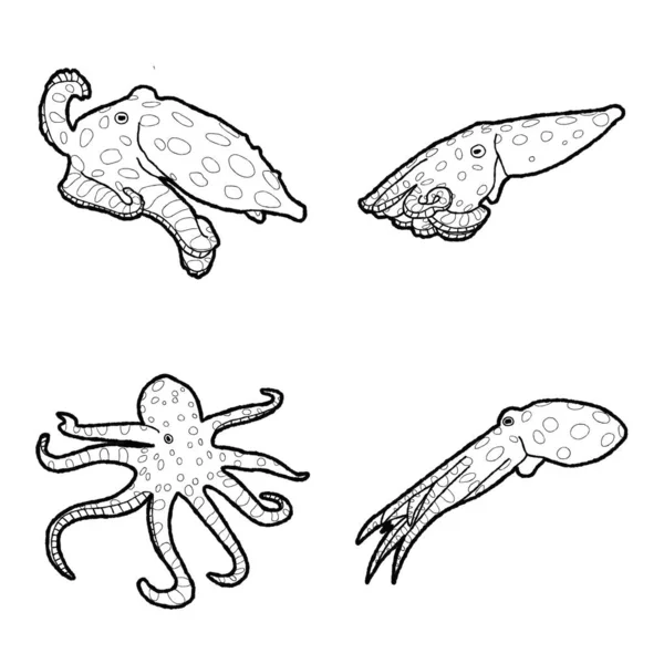 Anel Azul Octopus Animal Vetor Ilustração Mão Desenhado Desenhos Animados —  Vetores de Stock