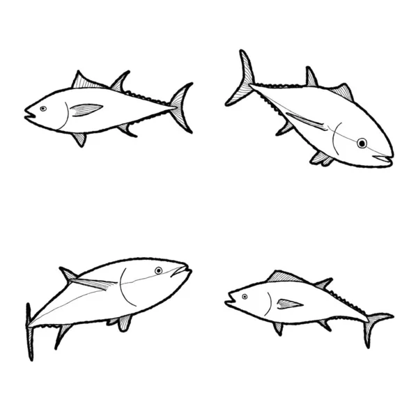 蓝鳍金枪鱼动物病媒图解手绘漫画艺术 — 图库矢量图片