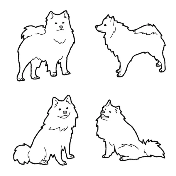 American Eskimo Dog Animal Vector Ilustração Mão Desenhada Desenhos Animados — Vetor de Stock