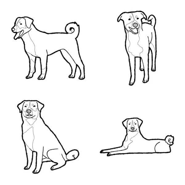 Appenzeller Sennenhunde Animal Vector Illustration Handdraw Cartoon Art — 스톡 벡터