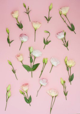 Pastel pembe bir arka plan üzerinde pembe çiçek deseni. Düz yatıyordu, en iyi görünümü. 