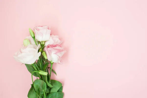 Samenstelling Van Bloemen Roze Roze Bloemen Pastel Roze Achtergrond Plat — Stockfoto