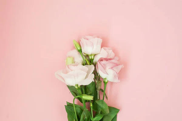 Samenstelling van de bloemen. Roze roze bloemen op pastel roze achtergrond. Plat lag, top uitzicht, kopie ruimte. — Stockfoto