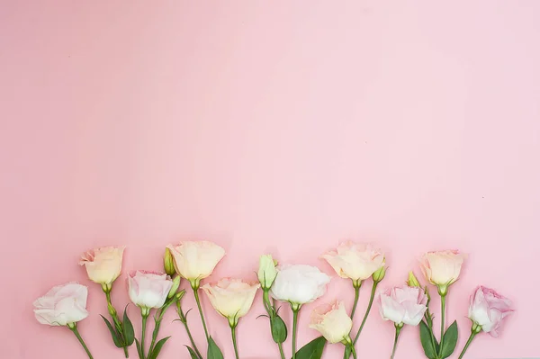 Samenstelling van de bloemen. Frame gemaakt van roze roze bloemen. Plat lag, top uitzicht, kopie ruimte — Stockfoto