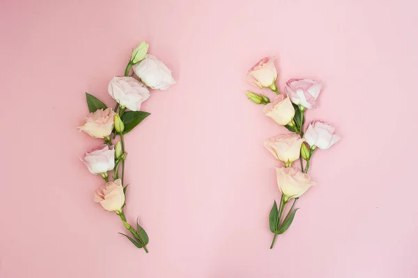 Creatieve lay-out gemaakt met roze bloemen op pastel roze achtergrond. Flat lag. Bovenaanzicht, frame met kopie ruimte. — Stockfoto