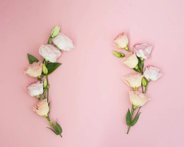 Creatieve lay-out gemaakt met roze bloemen op pastel roze achtergrond. Flat lag. Bovenaanzicht, frame met kopie ruimte. — Stockfoto