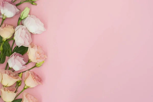 Composición de flores. Marco hecho de flores rosadas. Plano, vista superior, espacio para copiar — Foto de Stock