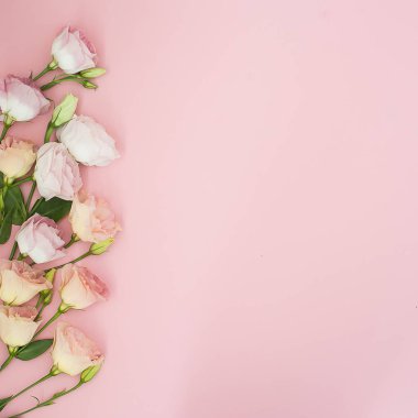 Çiçek kompozisyon. Çerçeve pembe gül çiçek yaptı. Düz yatıyordu, en iyi görünüm, kopya alanı 