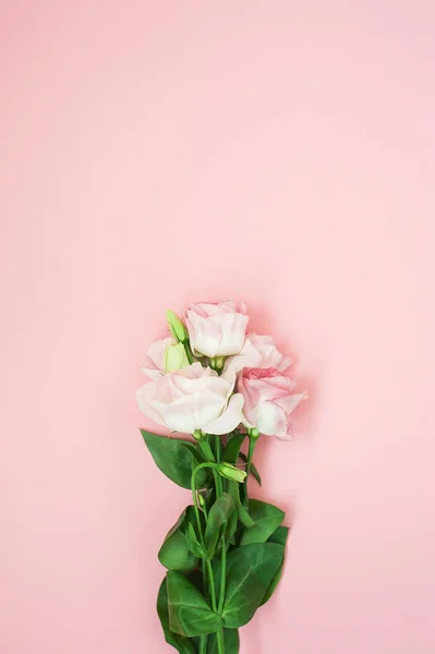 花的构图。粉红色的玫瑰花在柔和的粉红色背景。平躺, 顶部视图, 复制空间. — 图库照片
