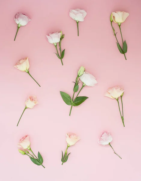 Motif de fleurs roses sur fond rose pastel. Couché plat, vue du dessus . — Photo