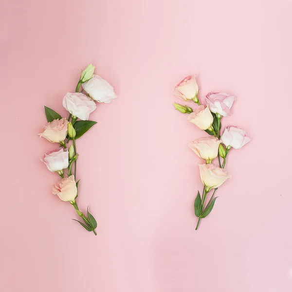 Mise en page créative réalisée avec des fleurs roses sur fond rose pastel. Pose plate. Vue du dessus, cadre avec espace de copie . — Photo
