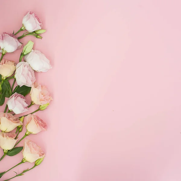 Composición de flores. Marco hecho de flores rosadas. Plano, vista superior, espacio para copiar — Foto de Stock