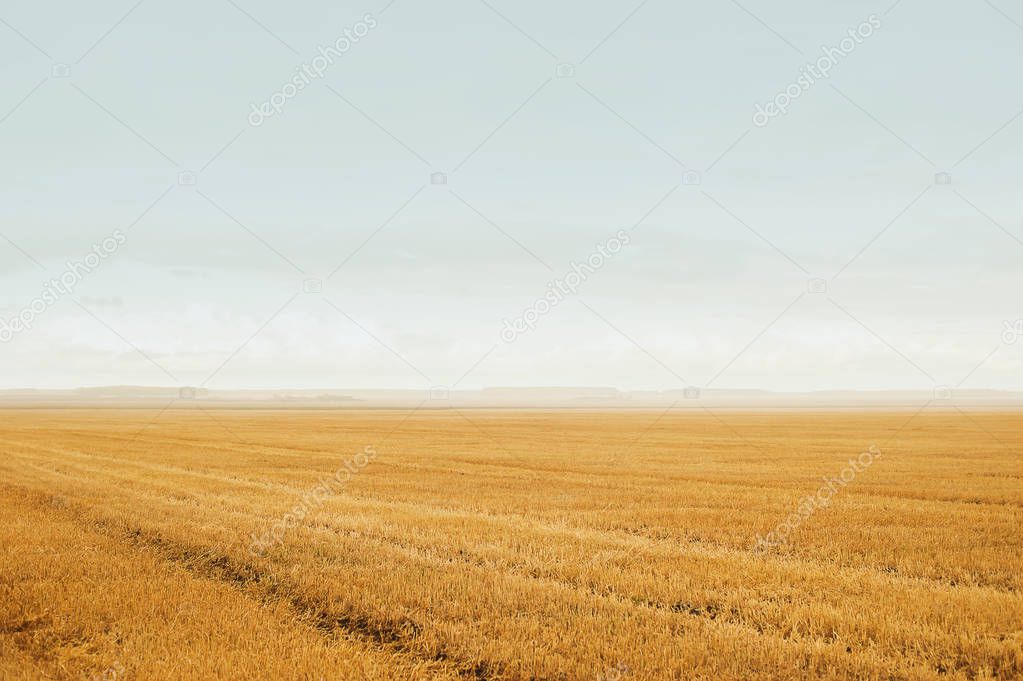 Field after harvest. Rural Road. Concept of autumn