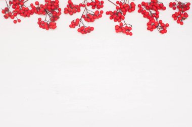 Sonbahar kompozisyon. Çerçeve rowan meyveler yaptı. Düz yatıyordu, en iyi görünüm, kopya alanı