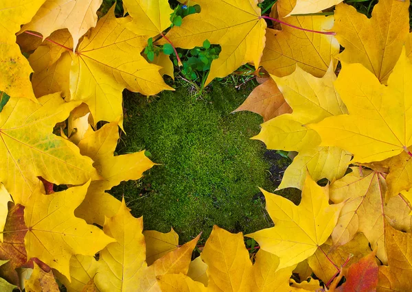 Upadek Rama wykonana bąbelek jesieni liści na zielonym tle Omszały z pustej przestrzeni dla tekstu. Koncepcja upadek zewnątrz — Zdjęcie stockowe