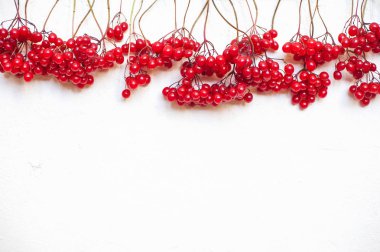 Sonbahar kompozisyon. Çerçeve kırmızı kartopu meyveler yaptı. Düz yatıyordu, en iyi görünüm, kopya alanı