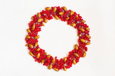 Kırmızı dut ile sonbahar kompozisyon. Çelenk kartopu meyveler yaptı. Düz yatıyordu, en iyi görünüm, kopya alanı