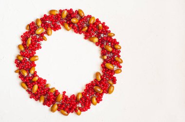 Kırmızı dut ile sonbahar kompozisyon. Çelenk kartopu meyveler yaptı. Düz yatıyordu, en iyi görünüm, kopya alanı