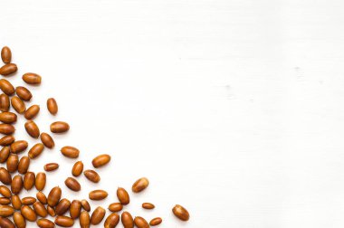 Sonbahar kompozisyon. Meşe palamudu kopya alanı ile beyaz arka plan üzerinde çerçeve yaptı. Düz yatıyordu, en iyi görünümü.