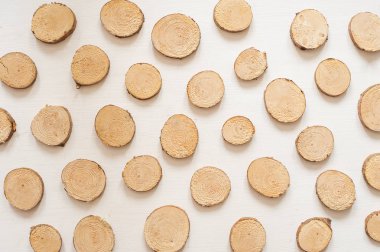 Beyaz arka plan üzerinde izole ahşap kütükler. Küçük çam ahşap desen daireler. Ahşap testere izole üzerinde beyaz arka plan kesmek.