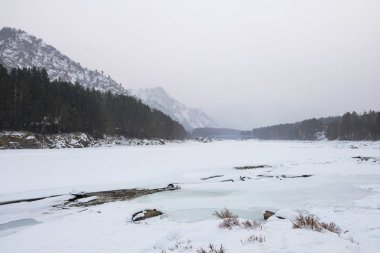 Mavi kış dağ puslu nehir. Çam ağaçları pastoral manzara donmuş kar. Seyahat gün Frost kış sezonu.