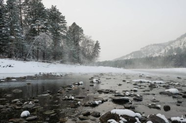 Mavi kış dağ puslu nehir. Çam ağaçları donmuş kar. Seyahat gün Frost kış sezonu