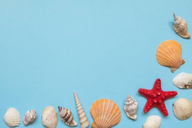 Deniz kabukları, kırmızı denizyıldızı ve oyuncak tekne ile Çerçeve