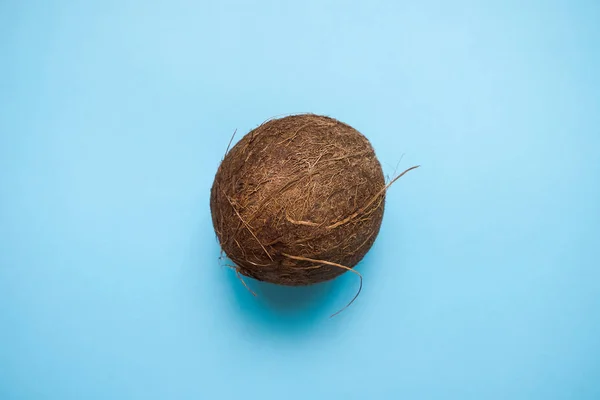 Kokos na niebieskim tle — Zdjęcie stockowe