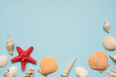 Kopya alanı ile mavi deniz arka plan üzerinde deniz kabukları, kırmızı denizyıldızı ve oyuncak tekne ile Çerçeve. Plaj tatili konsepti, gemi seyahati. Yaz düz yatıyordu.