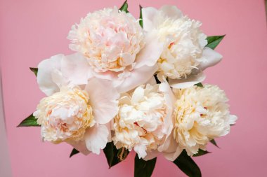 Pembe arka planda güzel beyaz şakayık buketi yakın çekim. Üst te. Düz yatıyordu