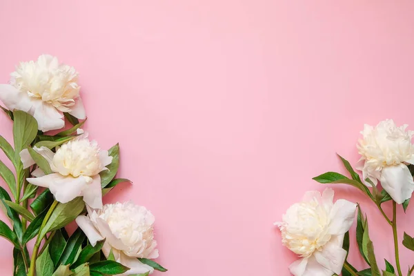 Marco de flores con ramas frescas de pionia blanca sobre fondo rosa con espacio para copiar, vista superior, disposición plana . — Foto de Stock